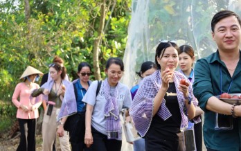 Welcome to Mekong Eco Tour