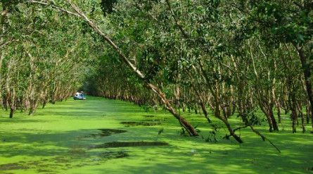 Chau Doc Eco Tour: Victoria Nui Sam Lodge – Tra Su Nature Reserve(half day)