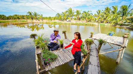 Mekong Eco Tour with Con Ho Tra Vinh 1-day tour