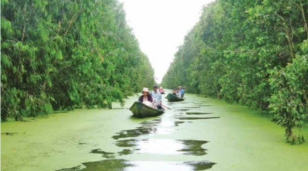 Mekong Eco Tour: CAN THO- SA DEC- VIET MEKONG FARMSTAY- CHAU DOC (3 Days 2 Nights)