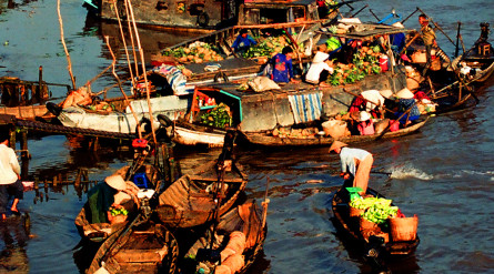 Cai Rang Floating Market in Sunrise and Fruit Garden (Code: MK1-CR 01)