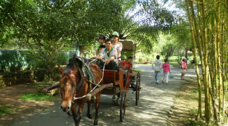 Mekong Eco Tour: CAN THO – VINH LONG – CAI MON – BEN TRE(2 DAYS 1 NIGHT)- MEKONG ECO TOUR