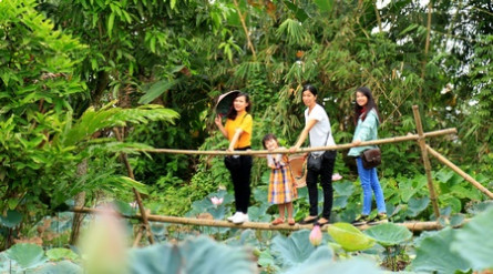 Mekong Eco Tour: Can Tho Eco Tour – City Tour By Electric car  (Code: MK1 – Electric car)