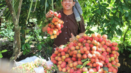 MEKONG ECO TOUR : Cai Rang Floating Market, small Canal , Fruit garden , Biking and Cooking (Code: MK1-CRF.02)