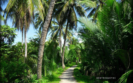 BEN TRE PROVINCE- MEKONG ECO TOUR
