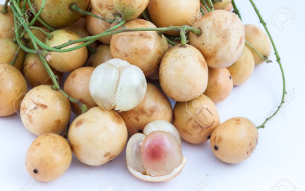 The top 10 most delicious specialty fruits in Mekong Delta- MEKONG ECO TOUR