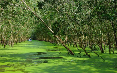 Chau Doc Eco Tour: Victoria Nui Sam Lodge – Tra Su Nature Reserve(half day)