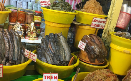 Chau Doc macerated fish (Mam Chau Doc)- MEKONG ECO TOUR