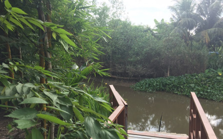 Mien Tay Bird Garden, Can Tho – MEKONG ECO TOUR