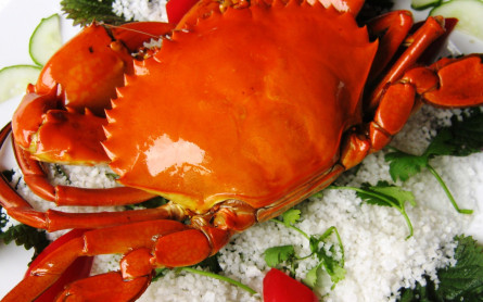 CA MAU CRABS , THE FAMOUS SPECIALTY OF CA MAU – MEKONG ECO TOUR