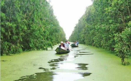 Mekong Eco Tour: CAN THO- SA DEC- VIET MEKONG FARMSTAY- CHAU DOC (3 Days 2 Nights)