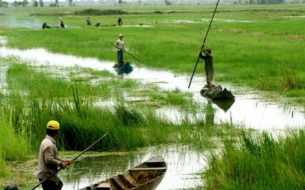 Mekong Delta Cruise – Mekong Eco Tour