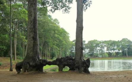 BA OM POND – MEKONG ECO TOUR