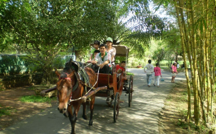 Mekong Eco Tour: CAN THO – VINH LONG – CAI MON – BEN TRE(2 DAYS 1 NIGHT)- MEKONG ECO TOUR