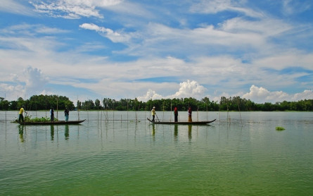 Mekong Eco Tour: CAN THO – CHAU DOC (2 Days 1 Night)