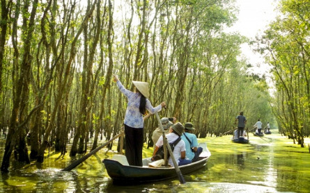 Tra Su mangrove forest- MEKONG ECO TOUR